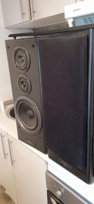 Altavoces Pioneer Negros