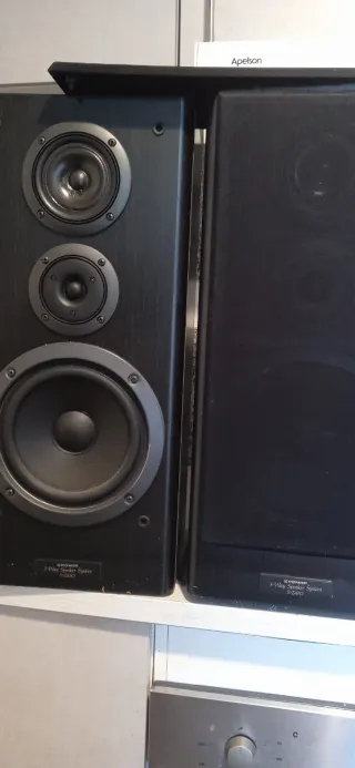 Altavoces Pioneer Negros