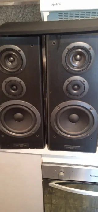 Altavoces Pioneer Negros