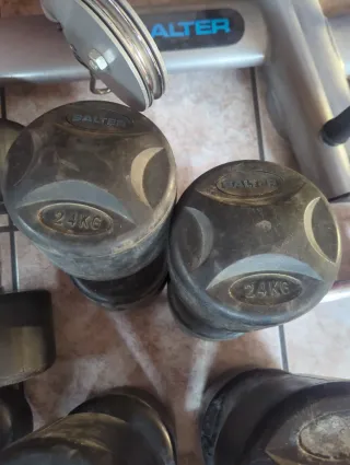 Mancuernas 24KG Salter (Par)