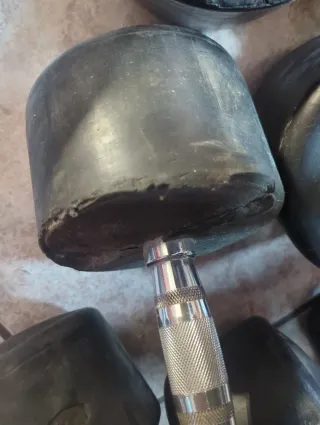 Mancuernas 24KG Salter (Par)