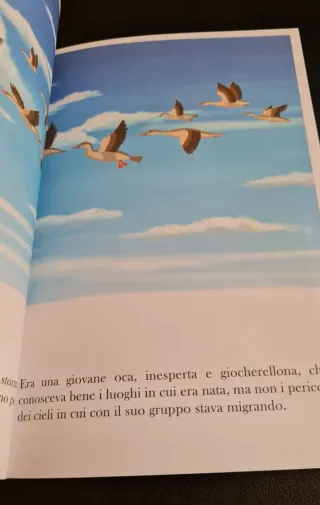 Libro bambini "L'incredibile volo di Babu"