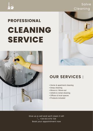 Servicios de limpieza professional