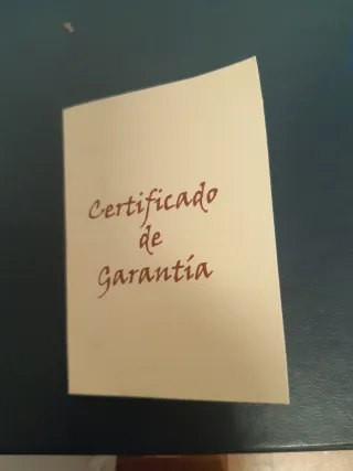 Medalla Gijón Asturias 2007