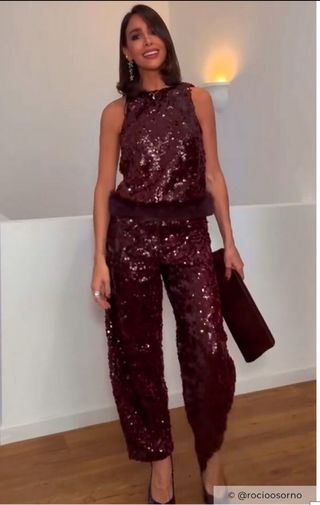 Top lentejuelas granate  con pelo