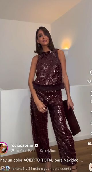 Top lentejuelas granate  con pelo