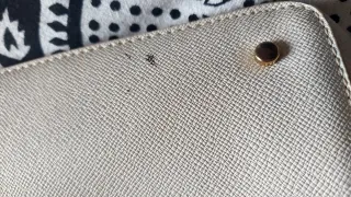 Borsa Liu Jo grande tra bianco panna beige e oro