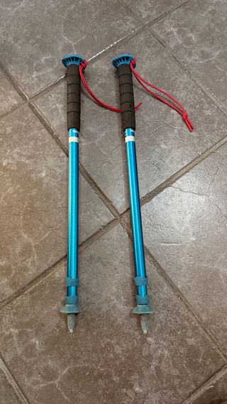 Palos de trekking azules