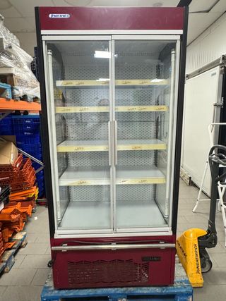 Nevera expositora Frost-Trol
