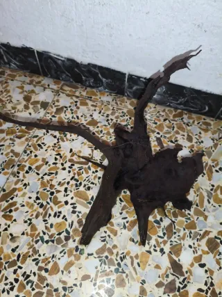 Raíz de madera para acuario