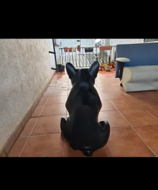 Altavoz Aerobull Apple Negro