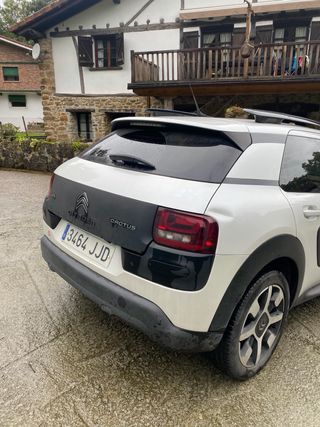 Citroen C4 Cactus 2015