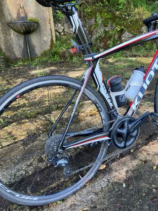 KUOTA KOUGAR DE CARBONO