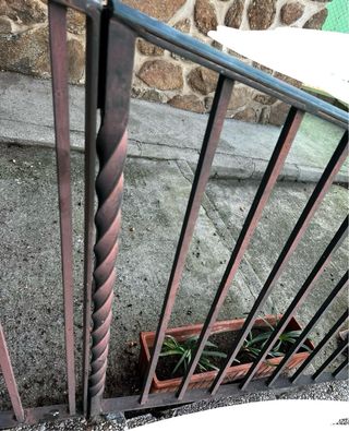 Barandilla metálica exterior con puerta