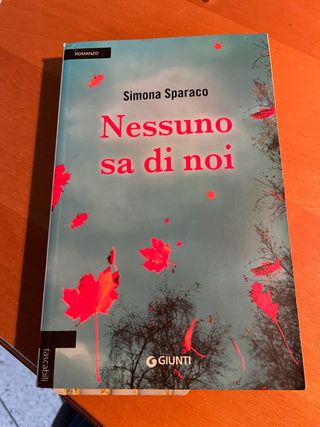 Nessuno sa di noi (Italian Edition)