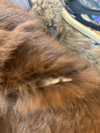 Abrigo de piel natural