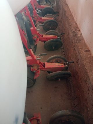 Sembradora de Girasol