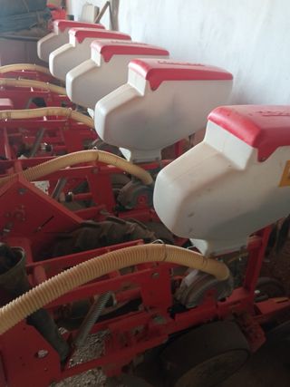 Sembradora de Girasol