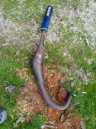 Escape Yasuni Derbi Savannah