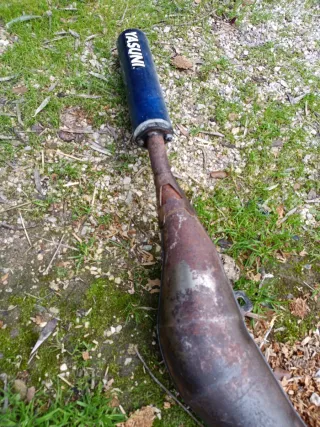 Escape Yasuni Derbi Savannah