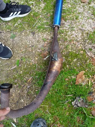 Escape Yasuni Derbi Savannah