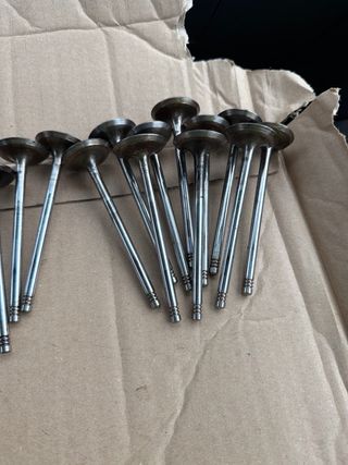 Válvulas Admisión y Escape BMW M54B30