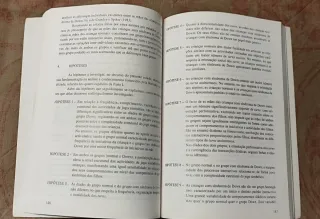 Interacção Mãe-Criança e Actividade Simbólica