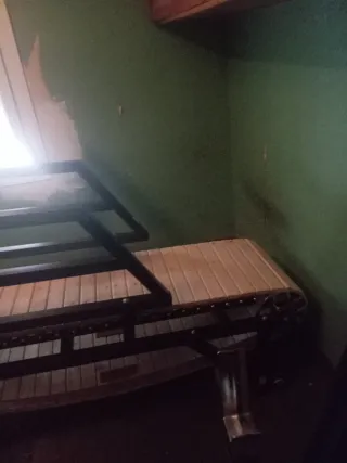 Cinta de correr para perros casi nueva