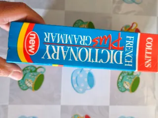 Diccionario francés