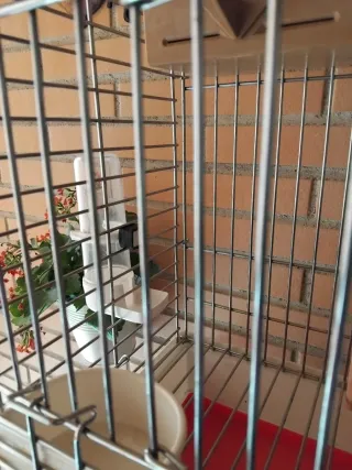 Jaula para Agapornis