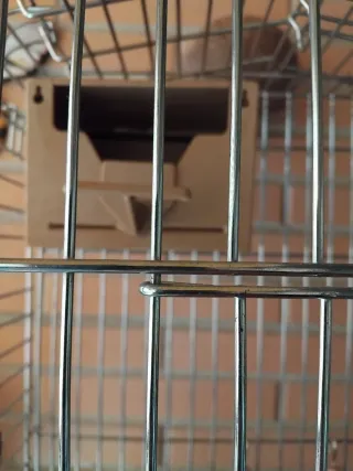 Jaula para Agapornis