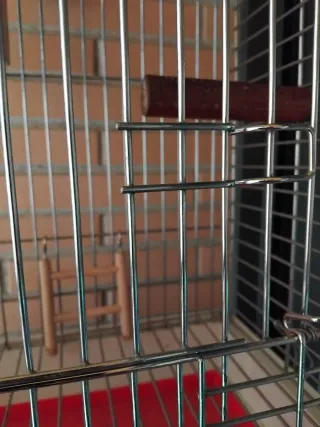 Jaula para Agapornis