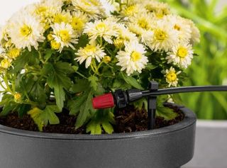 PARKSIDE - Kit de riego por goteo arboles y maceta