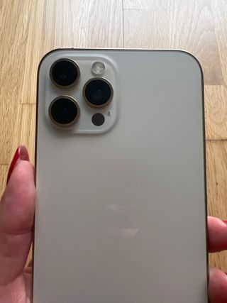 iPhone 12 Pro Max 256GB Plata