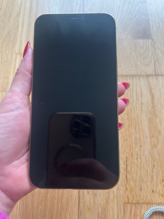 iPhone 12 Pro Max 256GB Plata