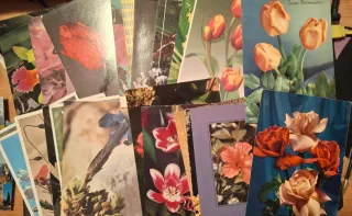 89 cartoline fotografiche con fiori