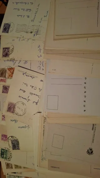 89 cartoline fotografiche con fiori