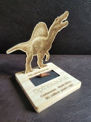 Pieza Fósil Auténtico Dinosaurio Spinosaurus