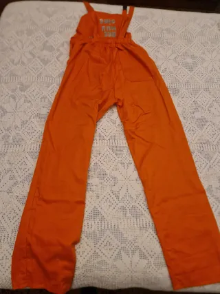 Disfraz Granja Talla Única