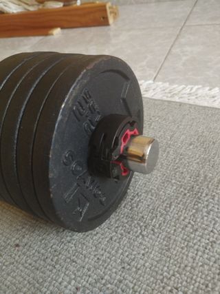 Mancuerna ajustable con discos