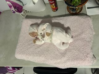 Muñeca de vinilo realista