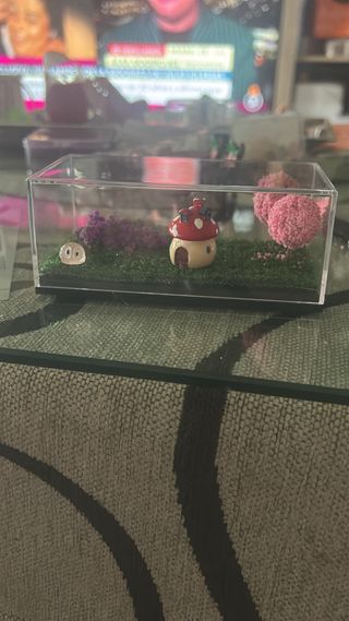 Miniatura Giardino delle Fate