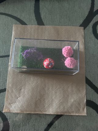 Miniatura Giardino delle Fate