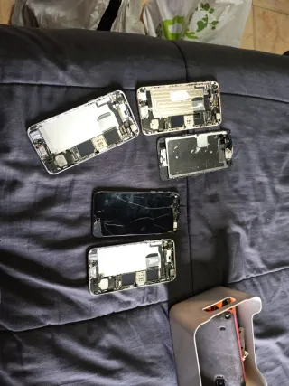 Cover per iPhone 6 (Apple)