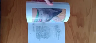 La Rosa De Los Vientos N/c (Cucana) (Spanish Ed...