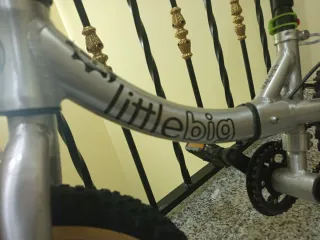 Bicicleta Little Big Aluminio