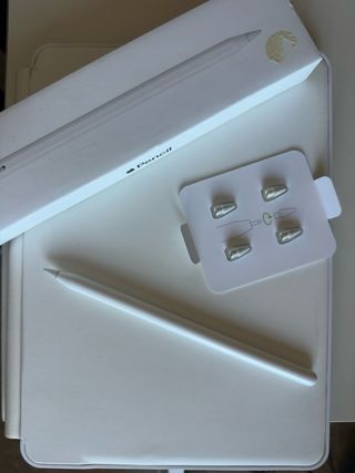 Apple Pencil 2ª Gen + Accesorios