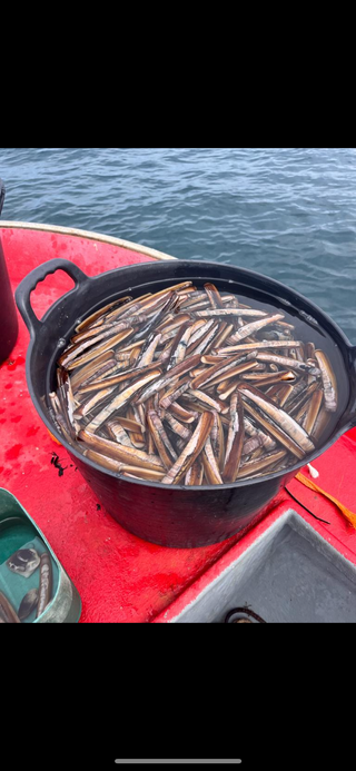 Barco de navaja en Baiona