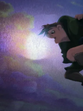 The hunchback of Notre Dame Steelbook Zavvi #20