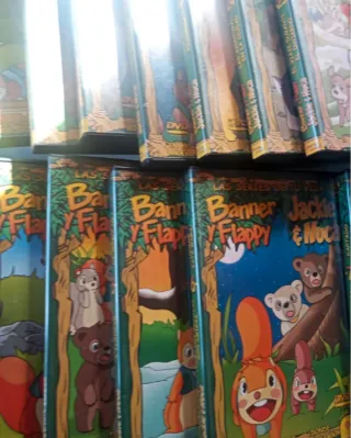 17 DVDs Serie Banner y Flappy Jackie Nuca